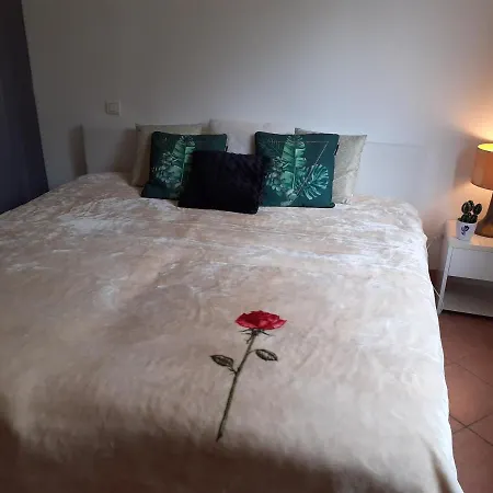 Calme Et Agreable A Proximite D'ajaccio